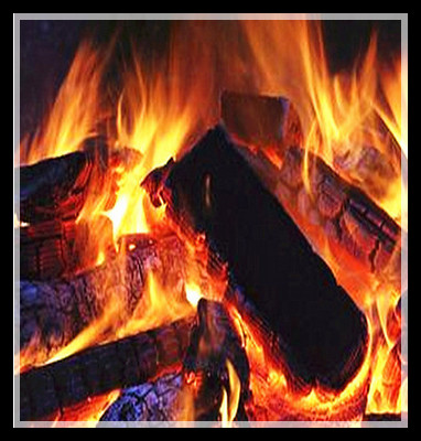 机制木炭与薪柴销售 批发市场中的高热量能源选择